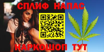 крисы Гагарин