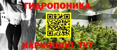 каннабис Гай