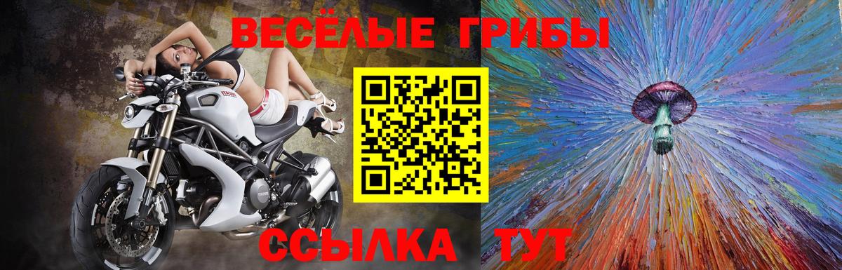 Псилоцибиновые грибы MAGIC MUSHROOMS  Вход с VPN  Орёл 